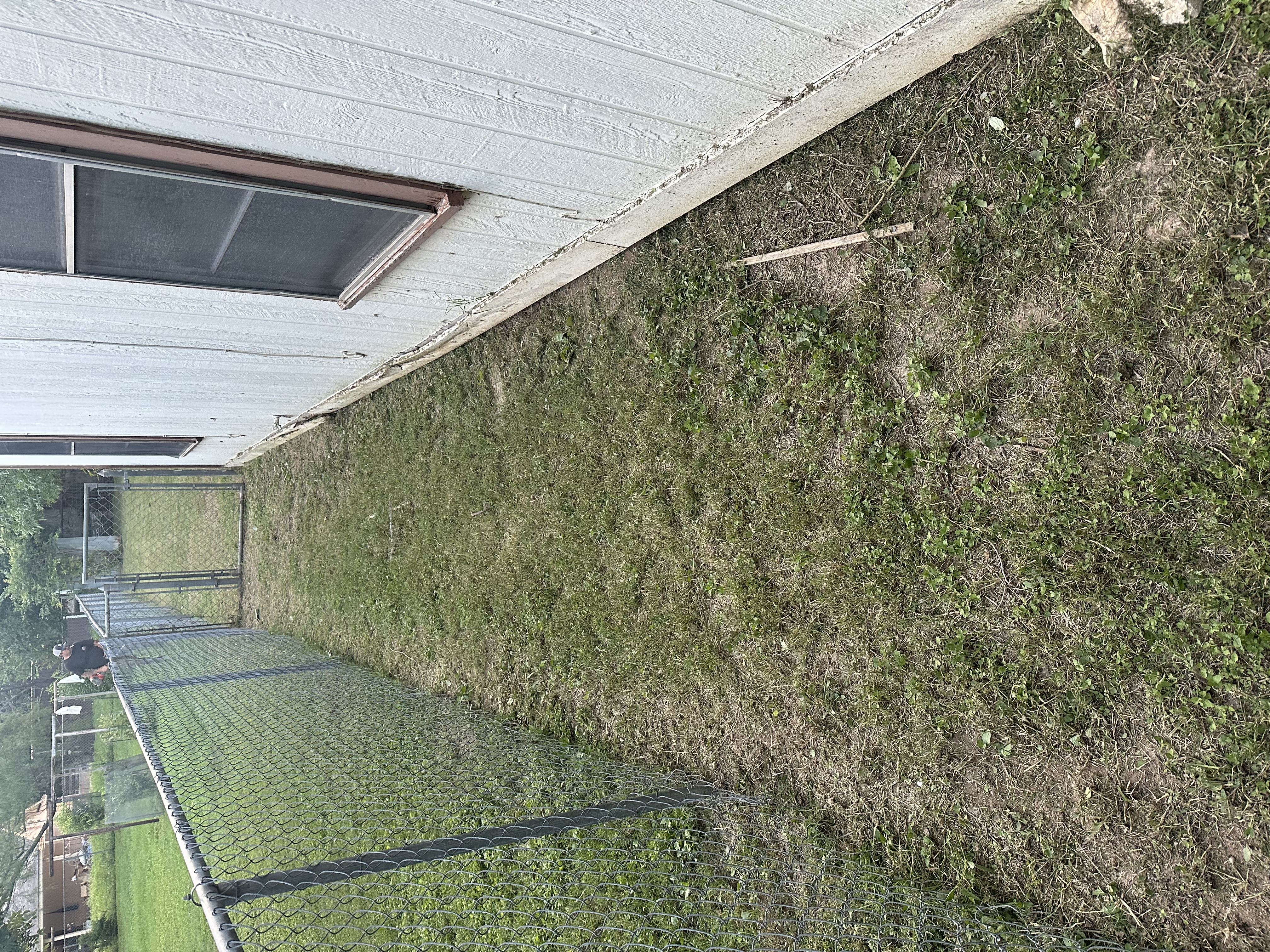 Lawn Project