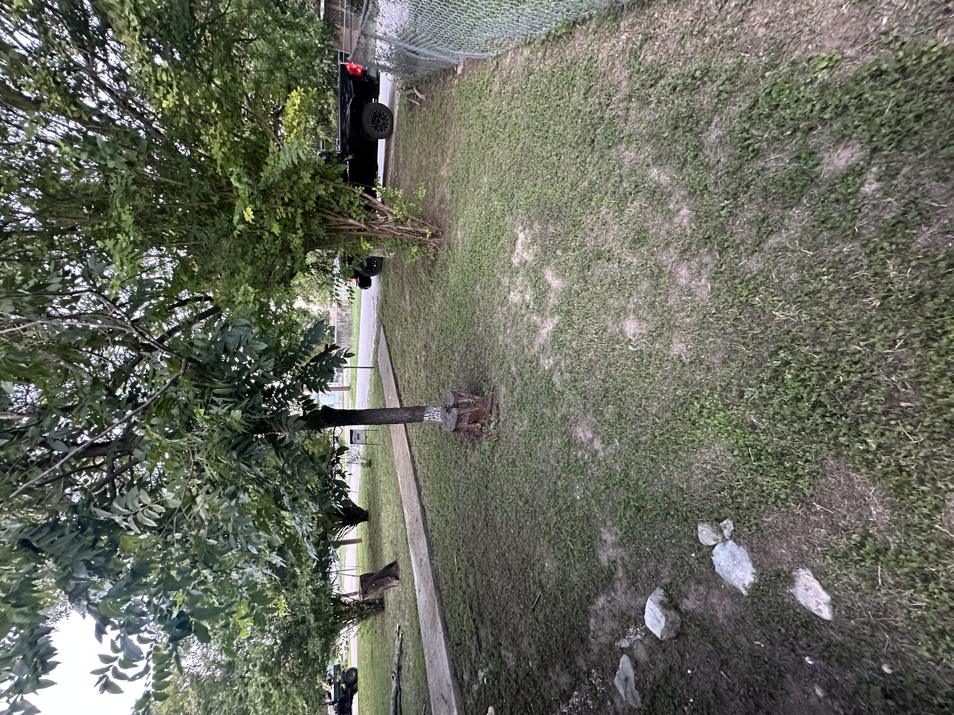 Lawn Project