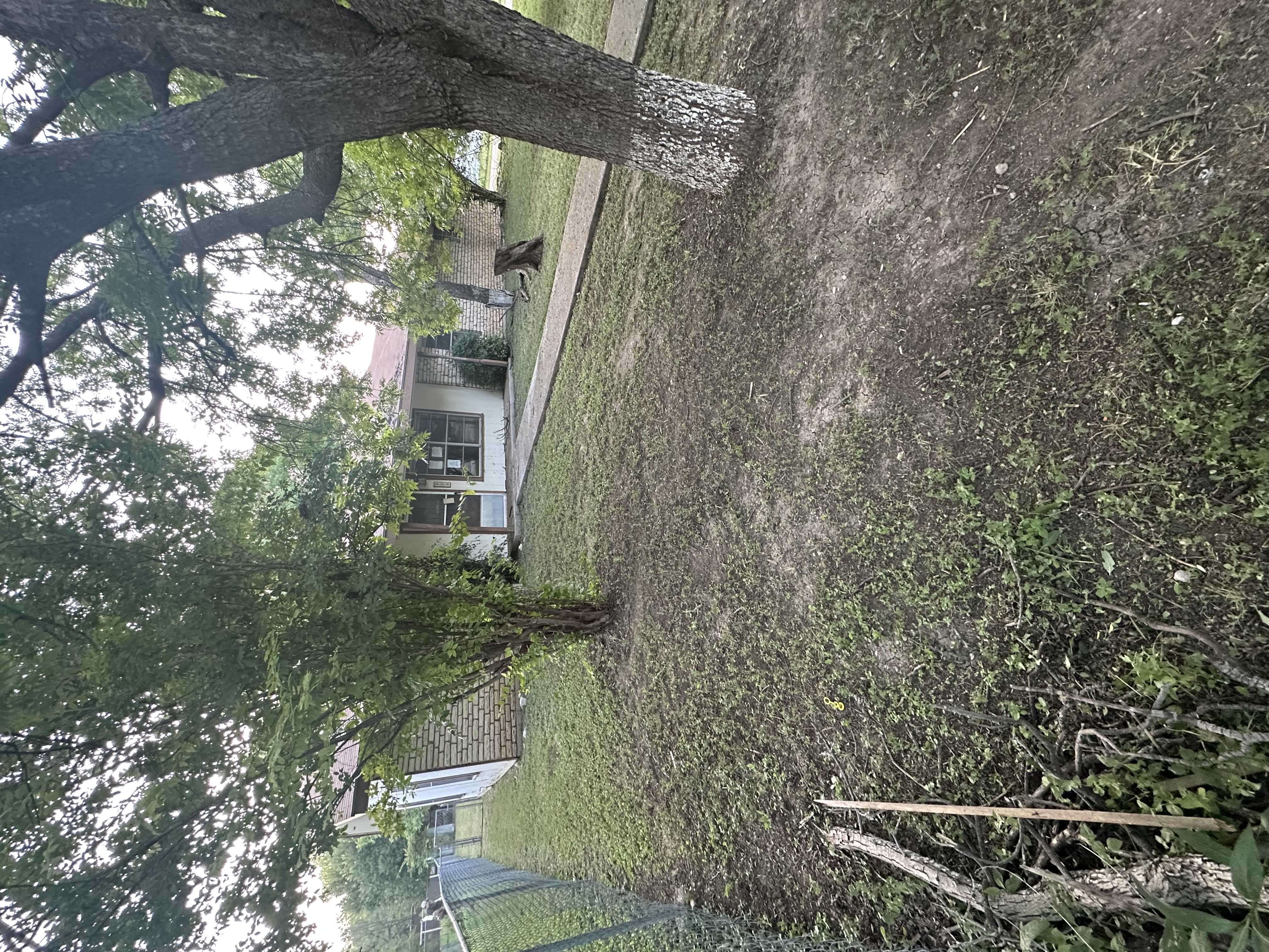 Lawn Project