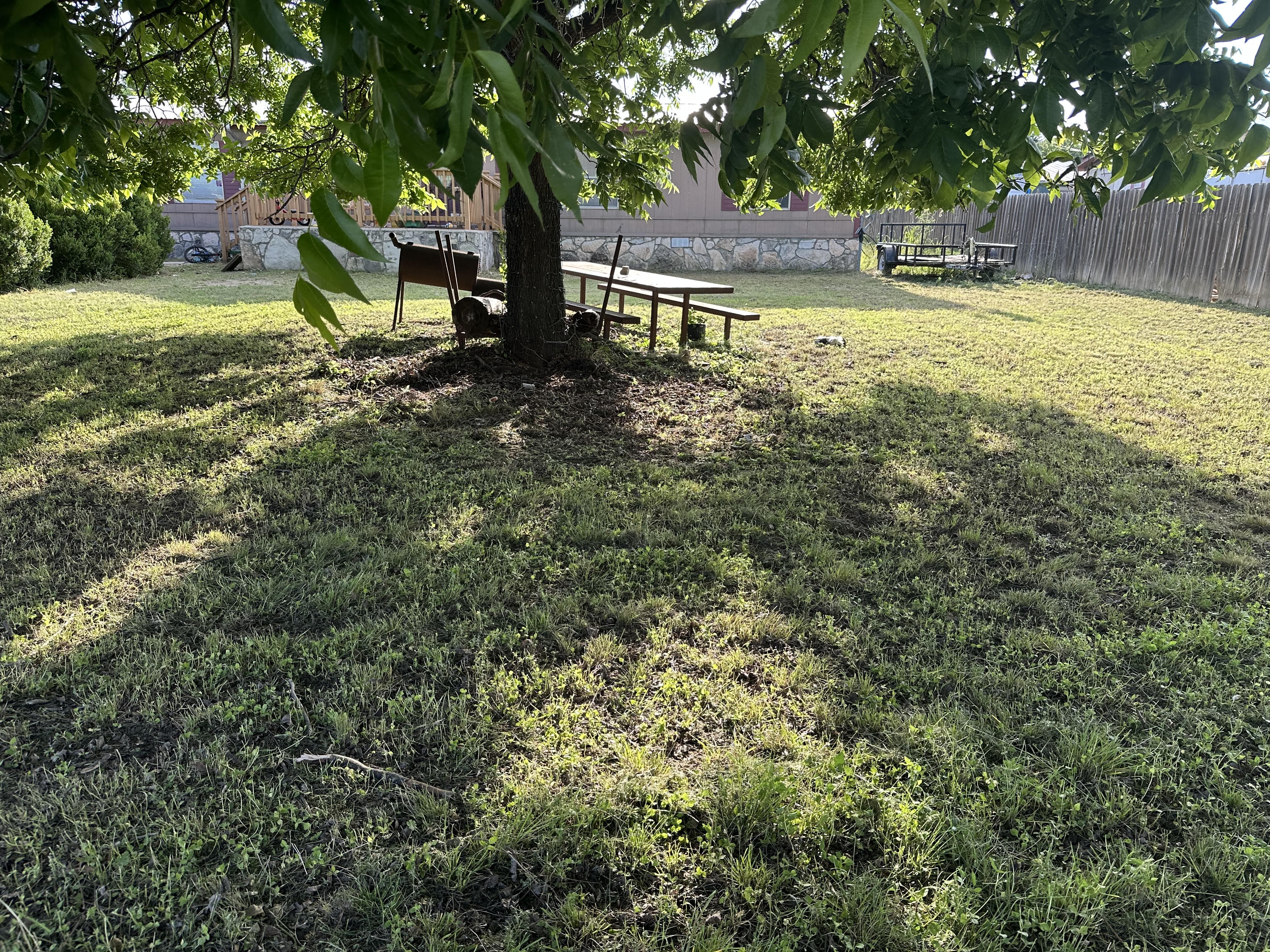 Lawn Project